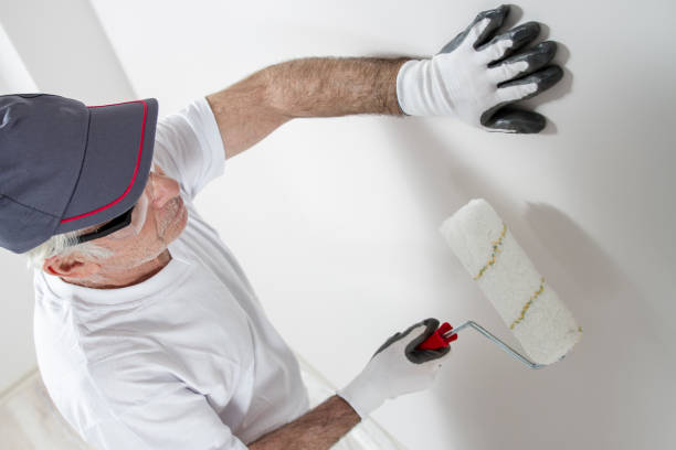 Best Ceiling Drywall Installation  in South Palm Beach, FL